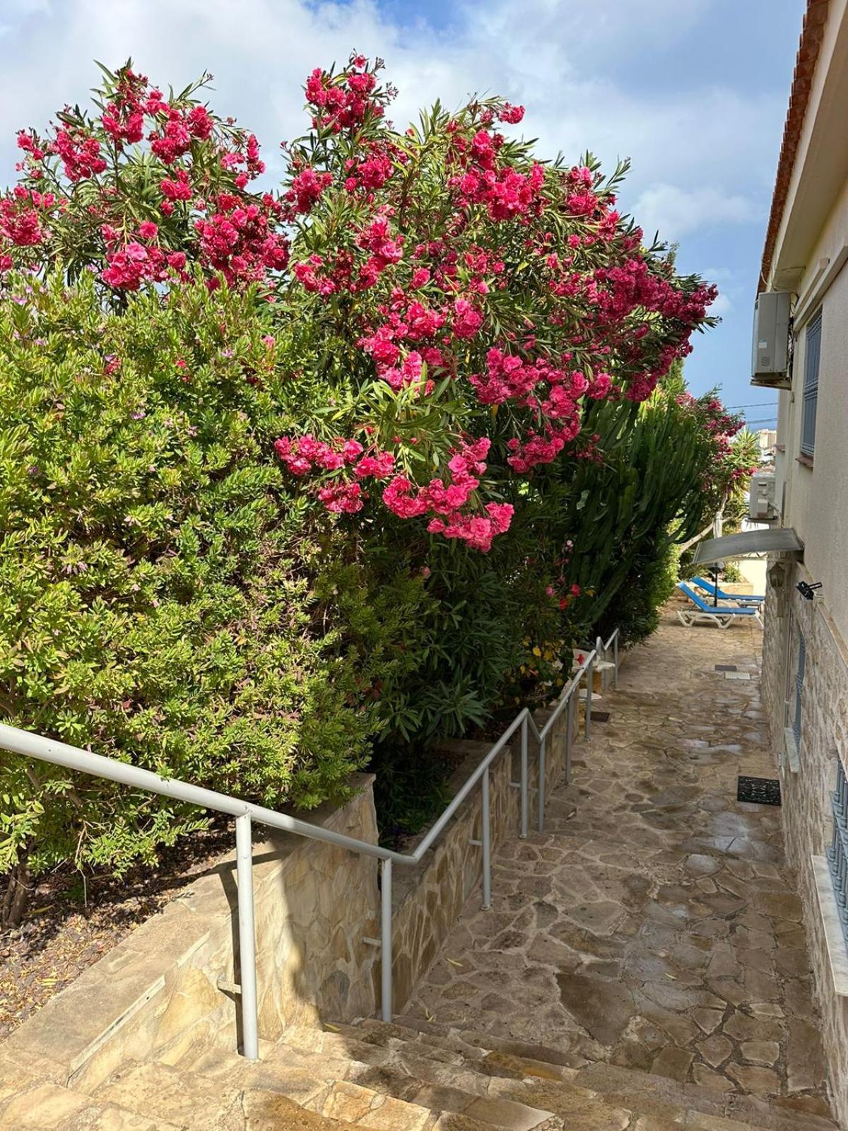Appartement En La Con El Territorio Comun En Calp